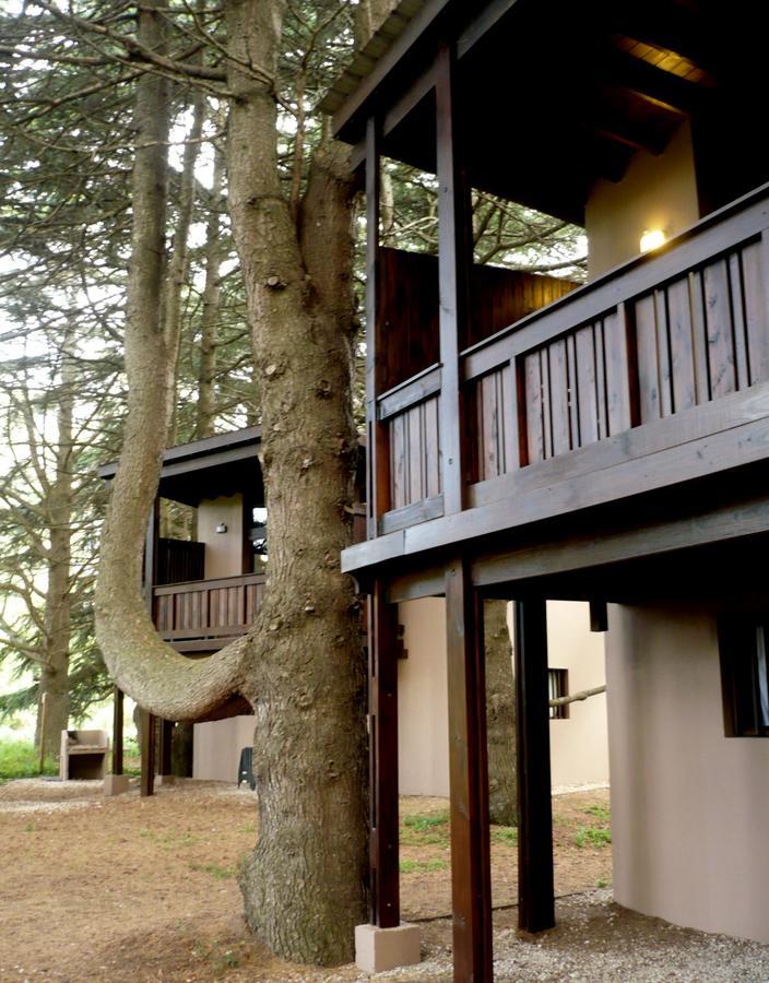 Posta Chimango, Cabanas Frente Al Golf Los Acantilados Mar del Plata Exterior photo